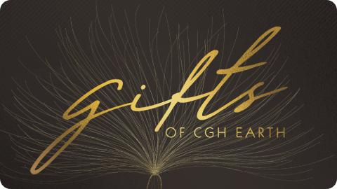Gift Card Image