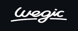 Wegic
