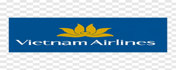 Vietnamairlines